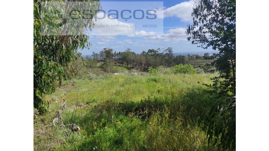 Quinta para Venda em Cebolais de Cima e Retaxo Foto 5