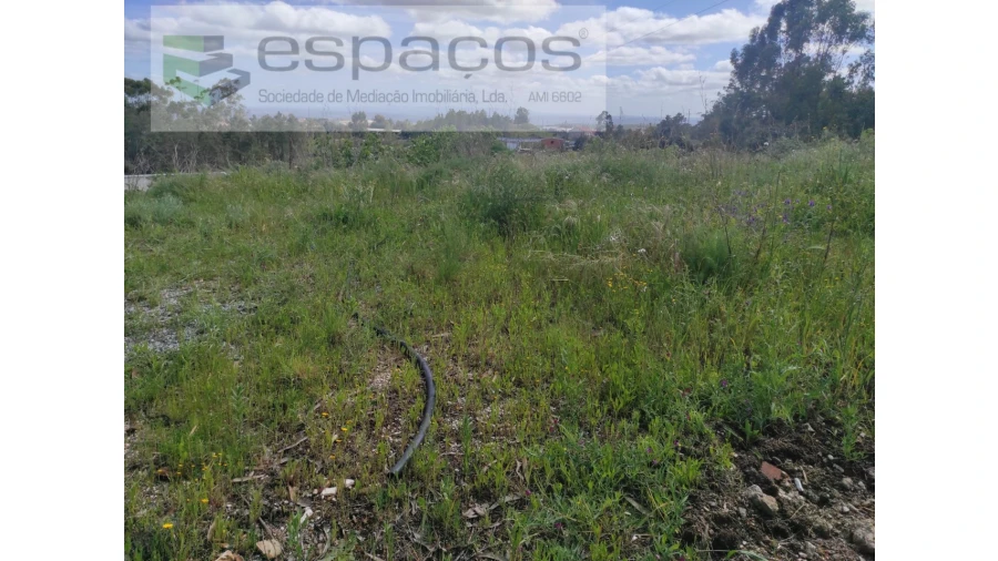 Quinta para Venda em Cebolais de Cima e Retaxo Foto 6