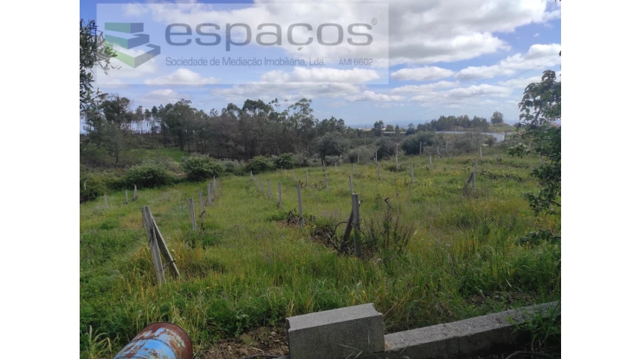 Quinta para Venda em Cebolais de Cima e Retaxo Foto 15