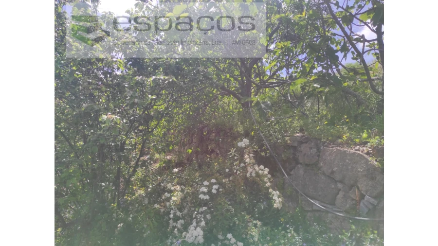 Quinta para Venda em Cebolais de Cima e Retaxo Foto 21