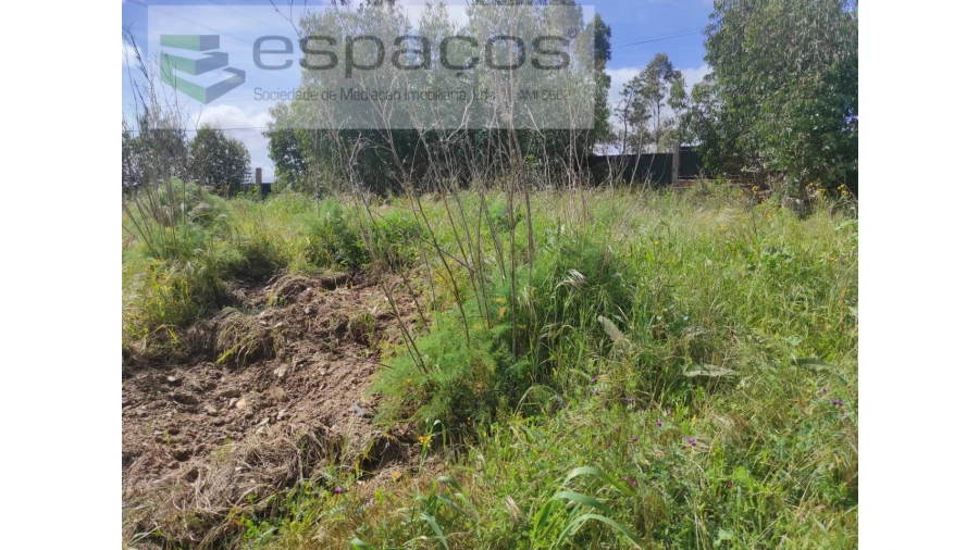 Quinta para Venda em Cebolais de Cima e Retaxo Foto 25