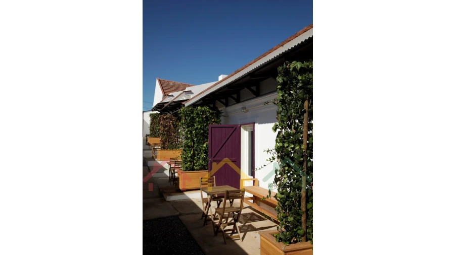 Negócio para Venda em Grândola e Santa Margarida da Serra Foto 4