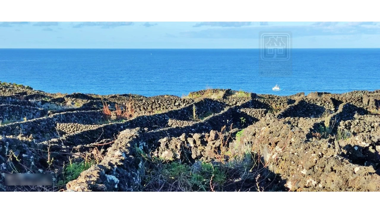 Terreno para Venda em Candelaria Foto 6