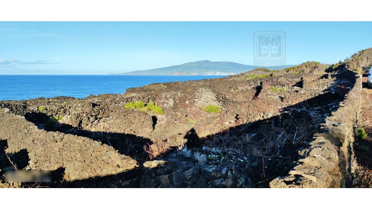Terreno para Venda em Candelaria Foto 7