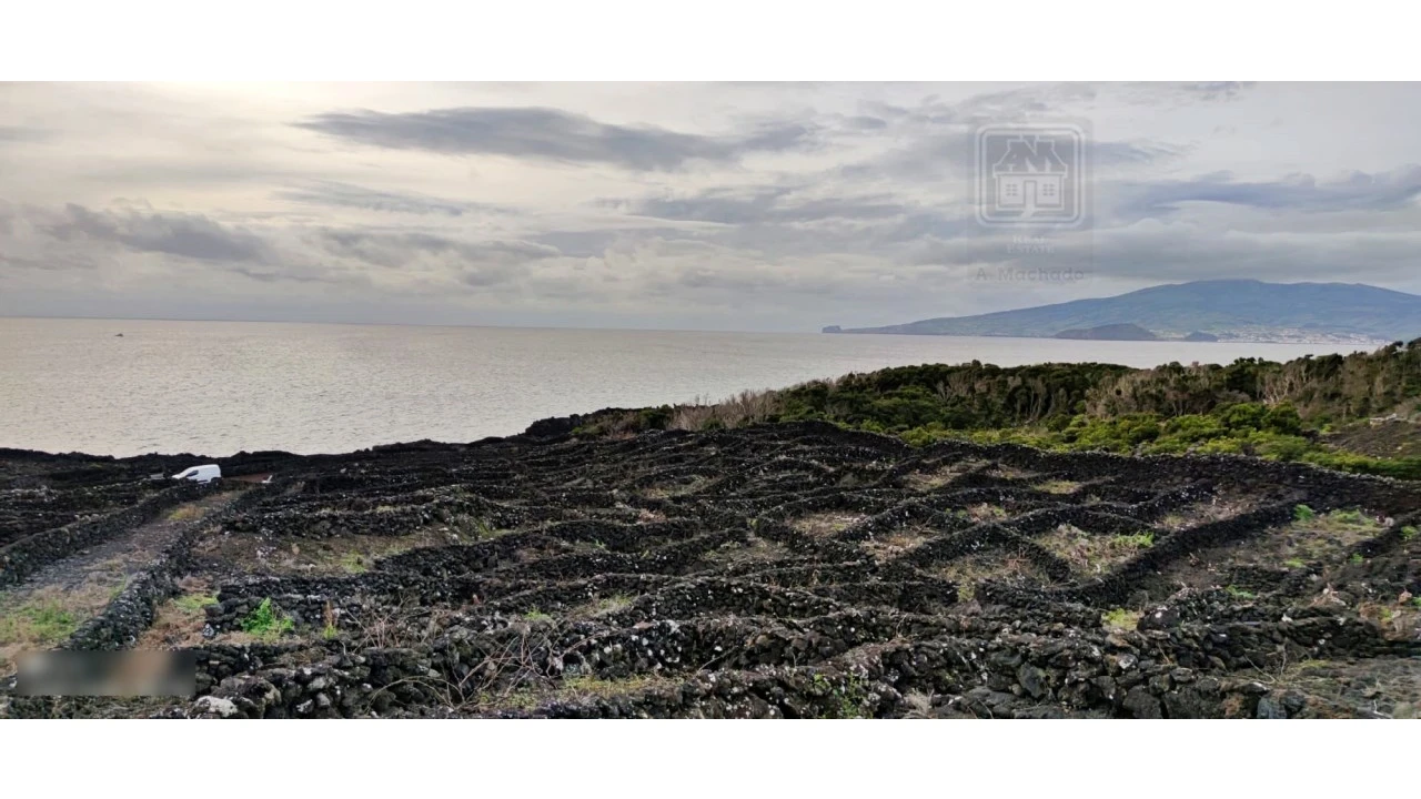 Terreno para Venda em Candelaria Foto 9