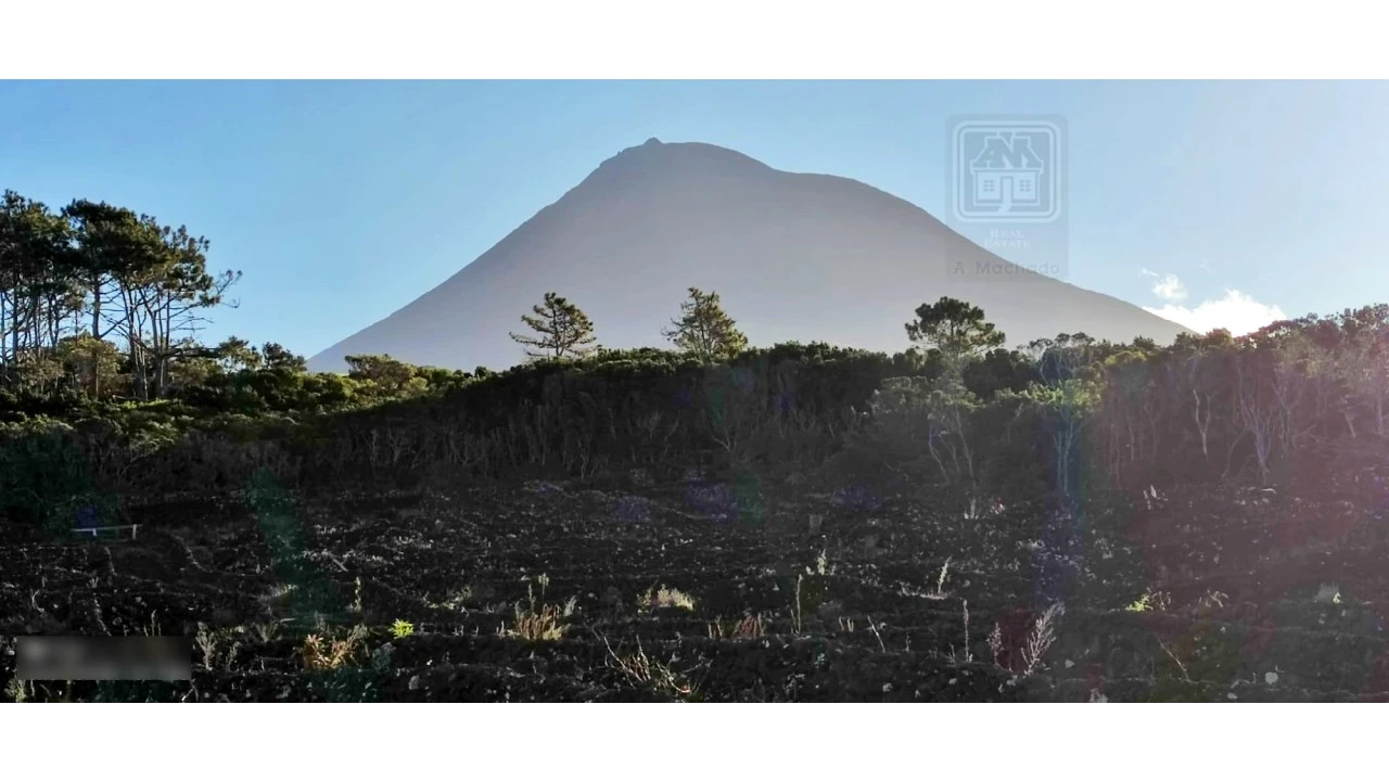Terreno para Venda em Candelaria Foto 12