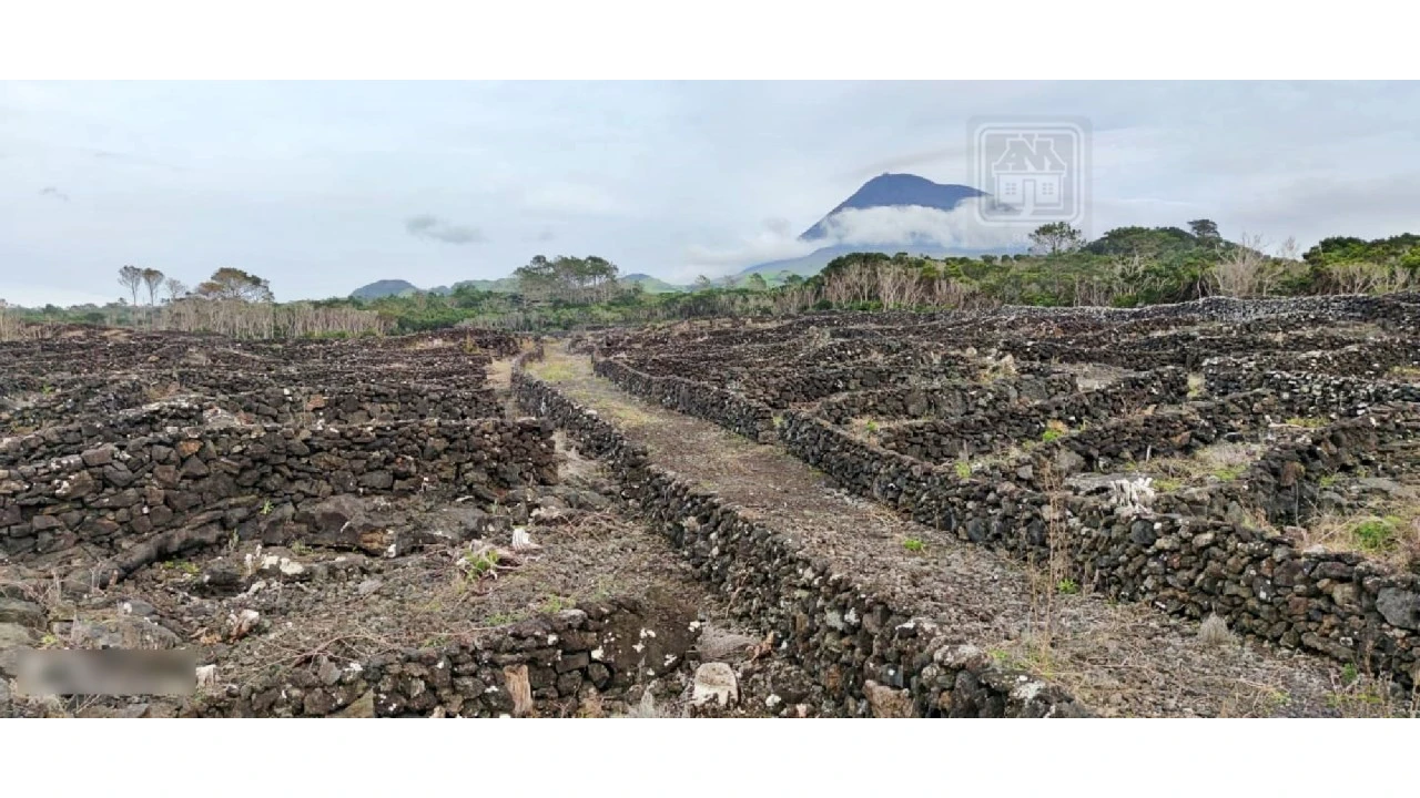 Terreno para Venda em Candelaria Foto 13