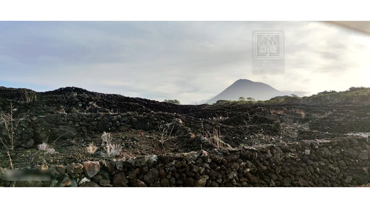 Terreno para Venda em Candelaria Foto 14