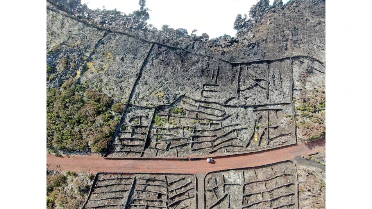 Terreno para Venda em Candelaria Foto 15