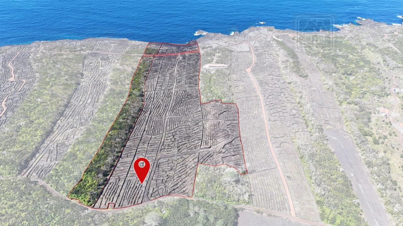 Terreno para Venda em Candelaria Foto 2