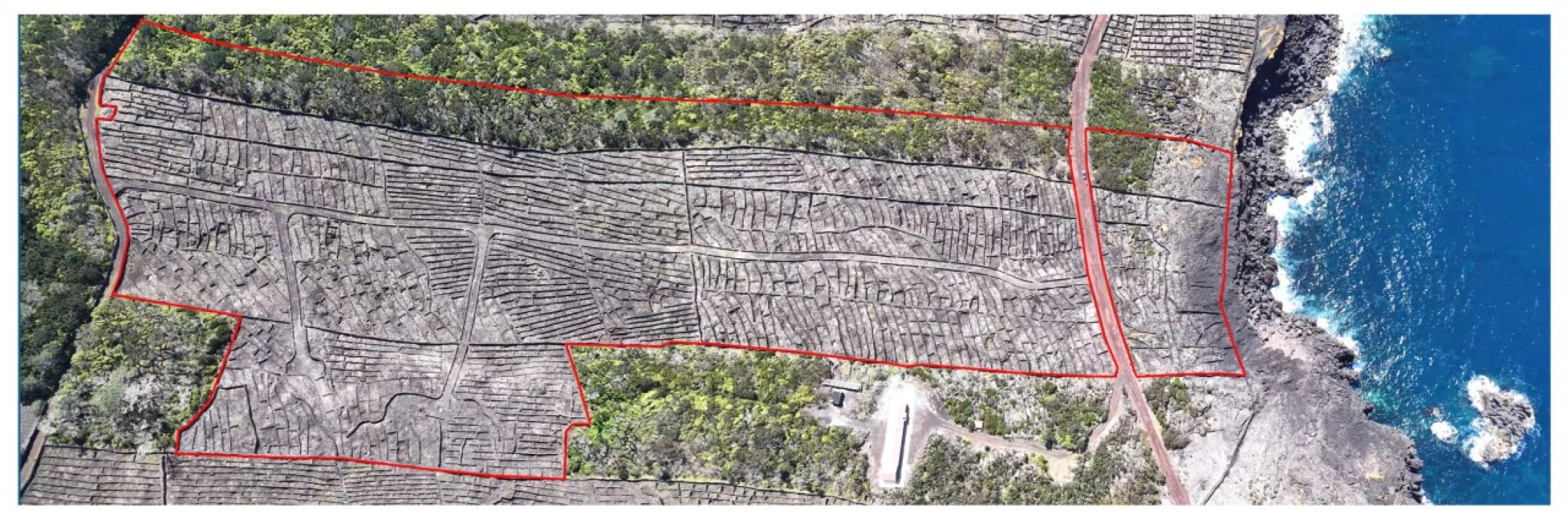 Terreno para Venda em Candelaria Foto 3