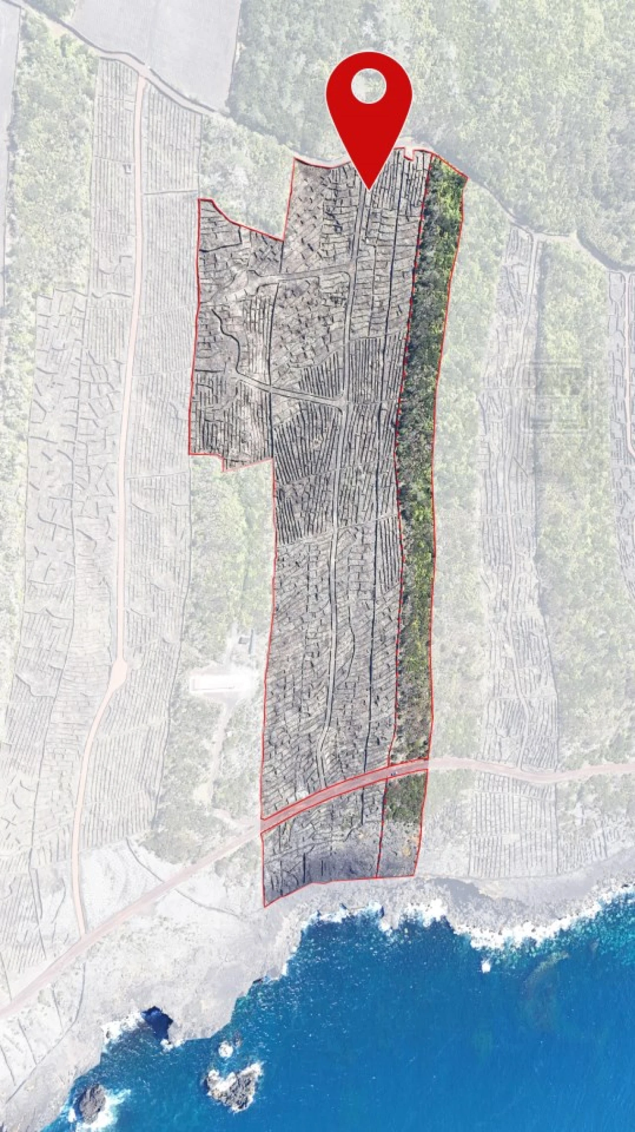 Terreno para Venda em Candelaria Foto 4