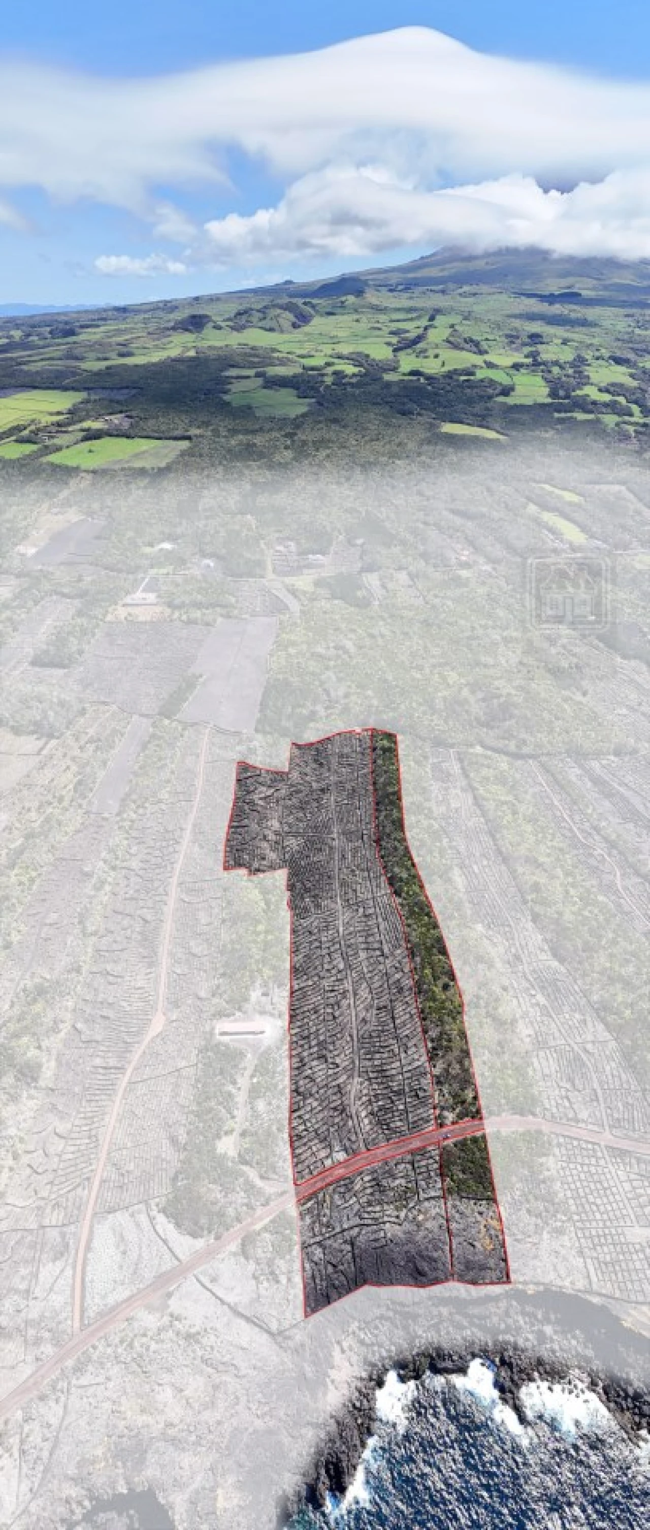 Terreno para Venda em Candelaria Foto 5