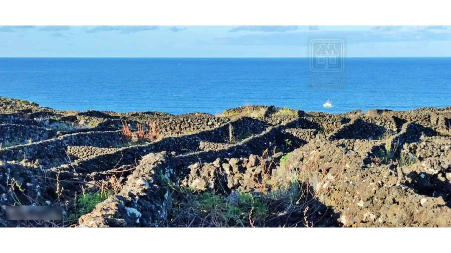 Terreno para Venda em Candelaria Foto 6