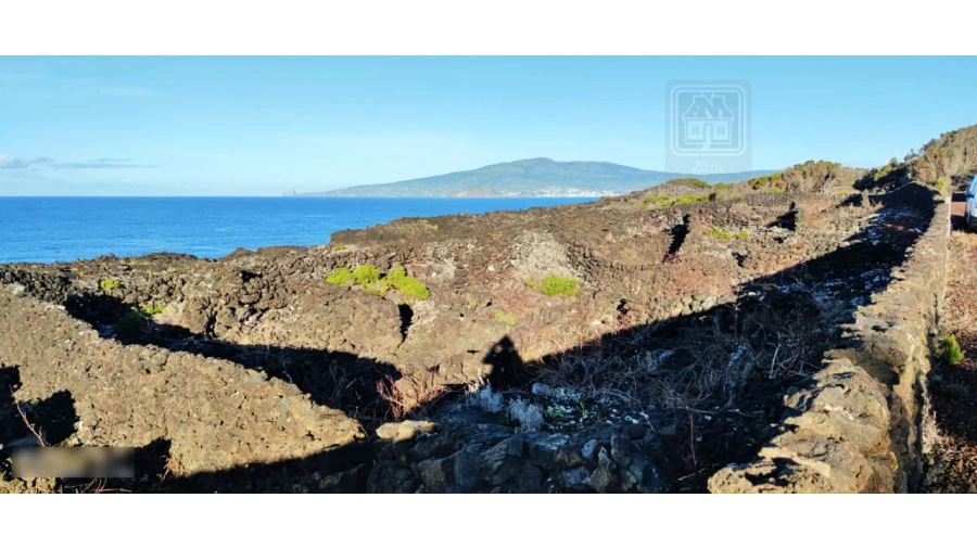 Terreno para Venda em Candelaria Foto 7