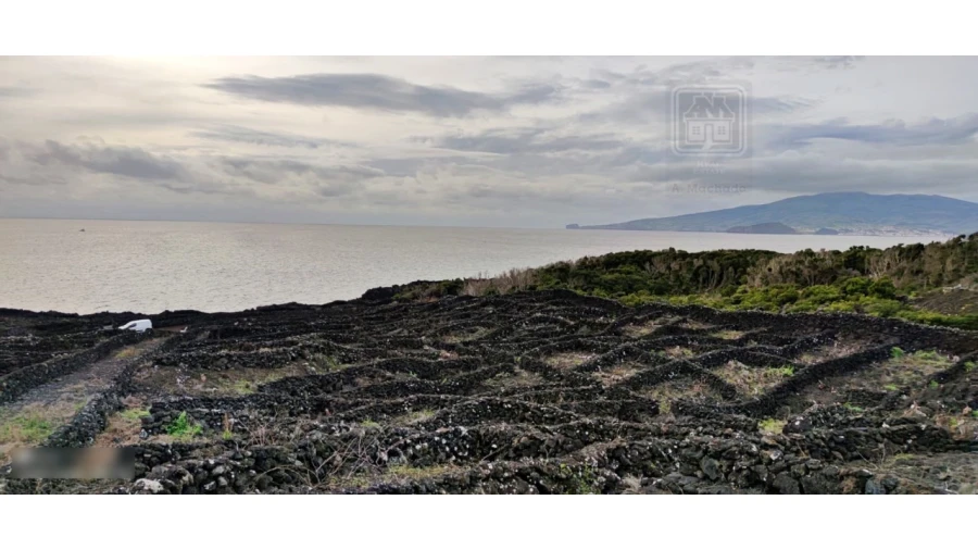 Terreno para Venda em Candelaria Foto 9