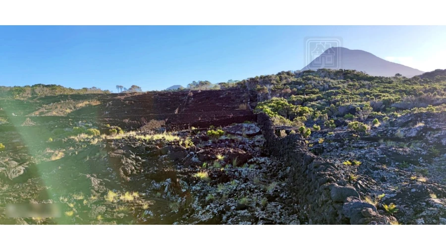 Terreno para Venda em Candelaria Foto 10