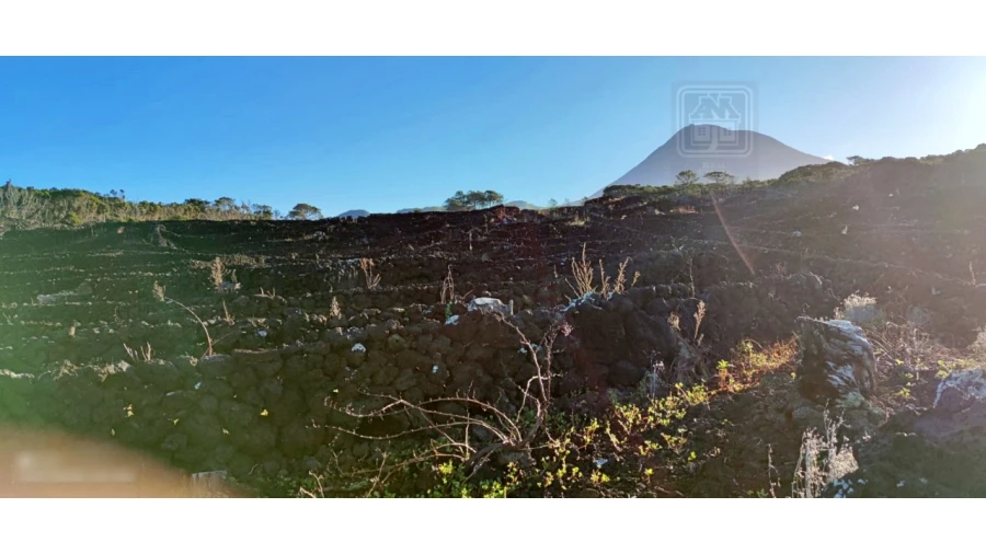 Terreno para Venda em Candelaria Foto 11