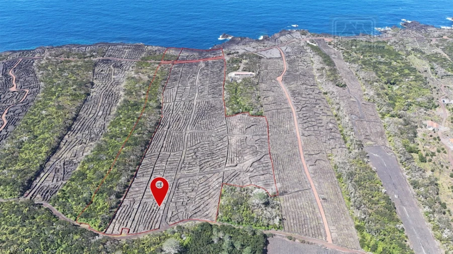 Terreno para Venda em Candelaria Foto 1