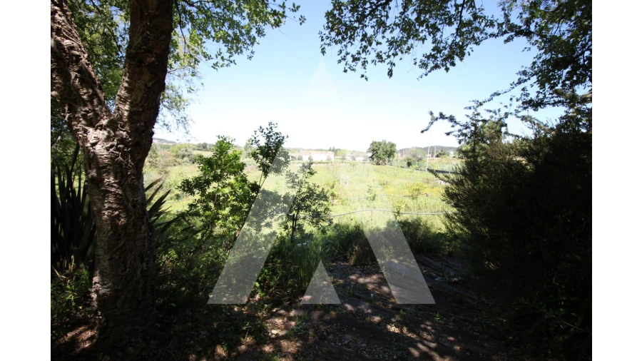 Moradia T4 para Venda em Tamengos, Aguim e Óis do Bairro Foto 77