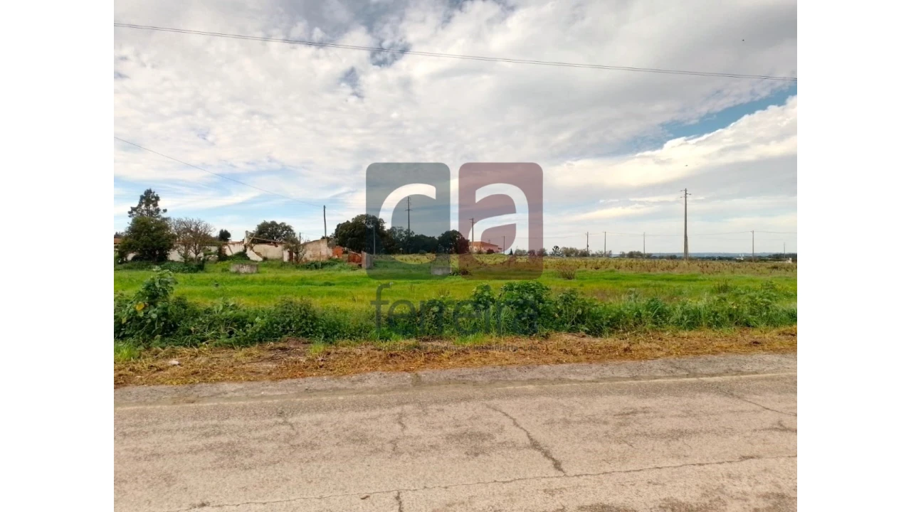 Terreno para Venda em Fazendas de Almeirim Foto 7
