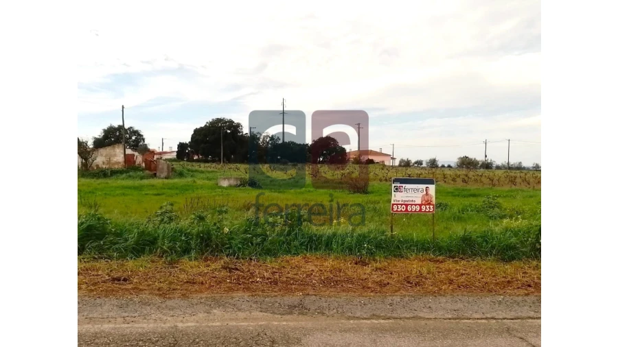 Terreno para Venda em Fazendas de Almeirim Foto 2