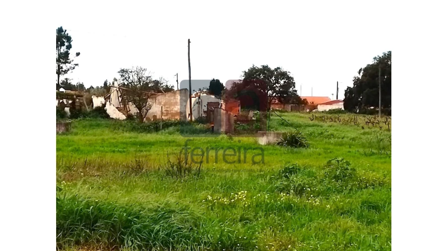Terreno para Venda em Fazendas de Almeirim Foto 10