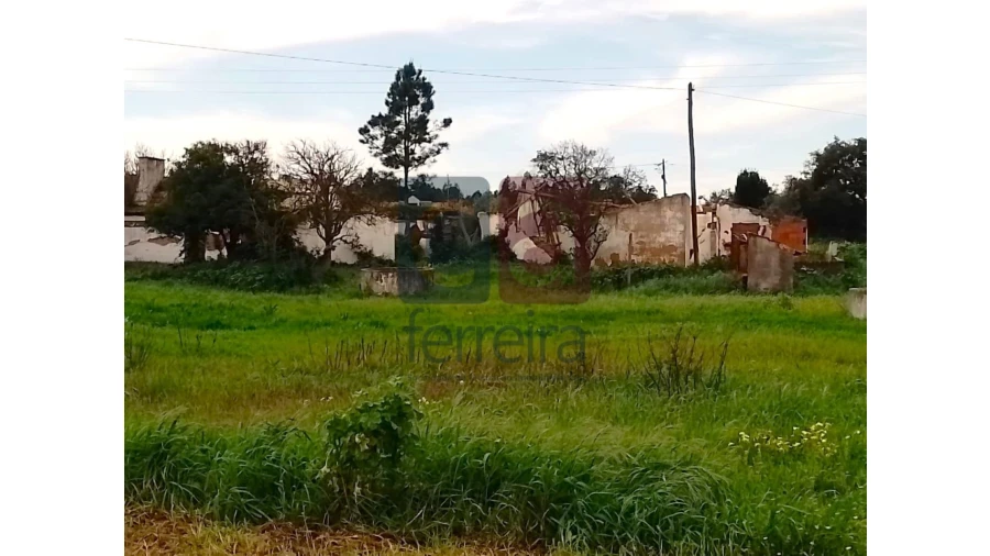 Terreno para Venda em Fazendas de Almeirim Foto 11