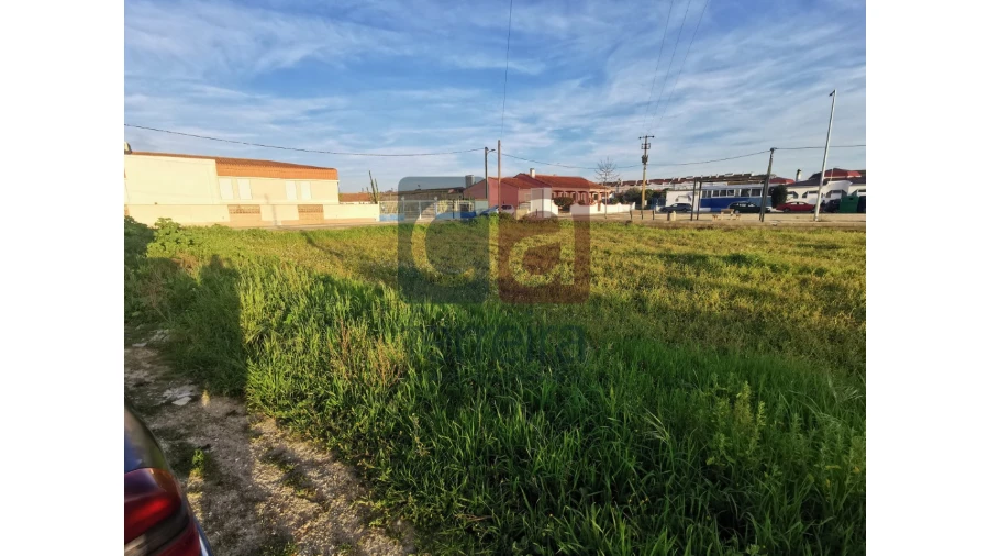Terreno para Venda em Fazendas de Almeirim Foto 5