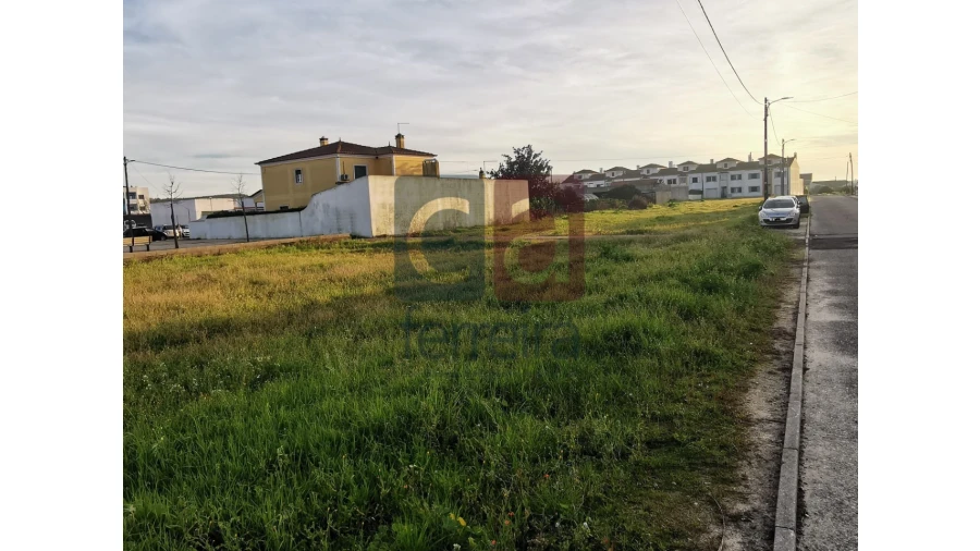 Terreno para Venda em Fazendas de Almeirim Foto 10