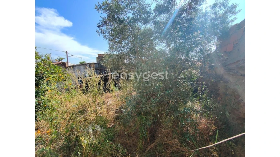 Moradia T4 para Venda em Vidigueira Foto 10