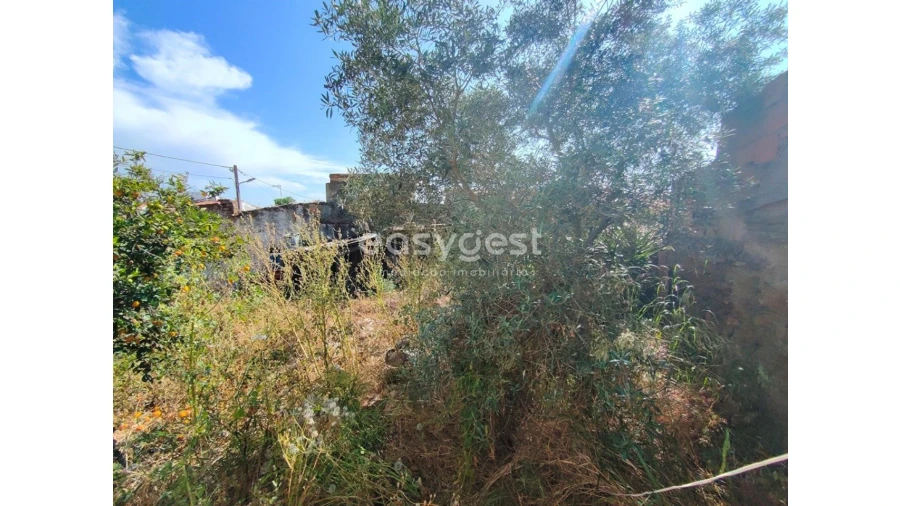 Moradia T4 para Venda em Vidigueira Foto 11