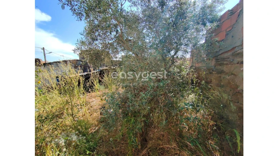 Moradia T4 para Venda em Vidigueira Foto 17