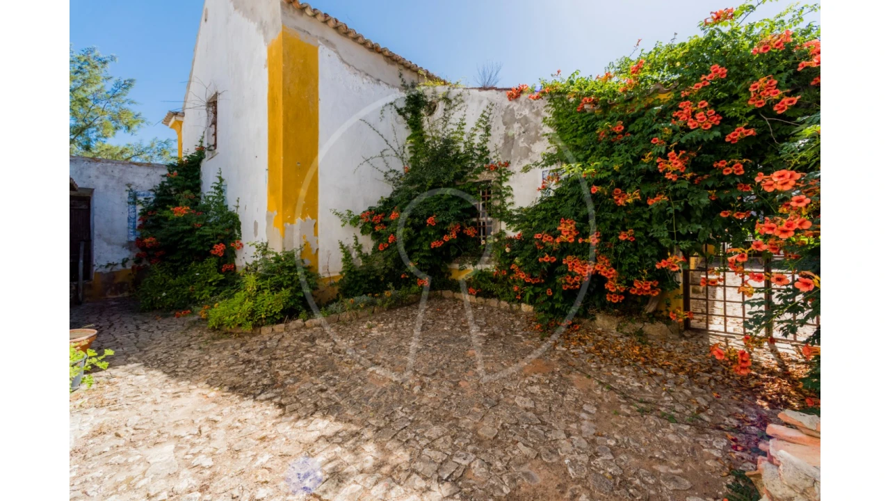 Quinta T7 para Venda em Azeitão (São Lourenço e São Simão) Foto 28