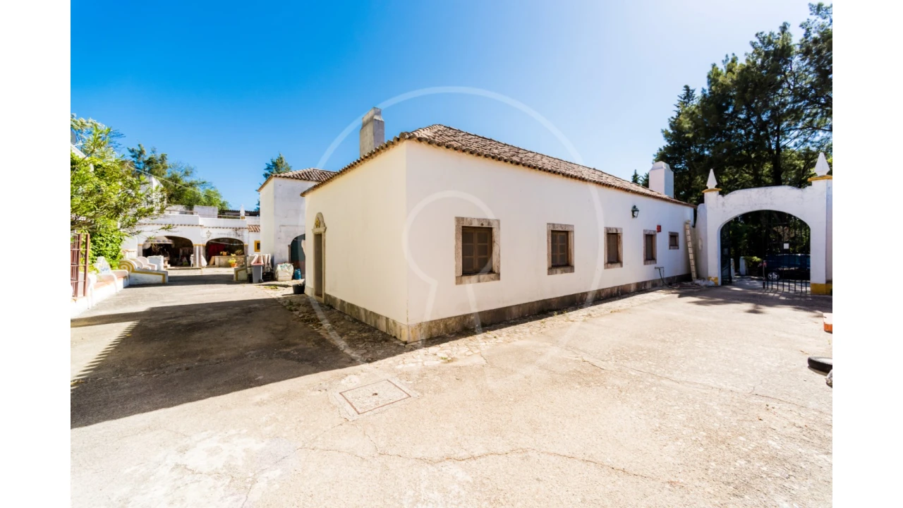 Quinta T7 para Venda em Azeitão (São Lourenço e São Simão) Foto 36