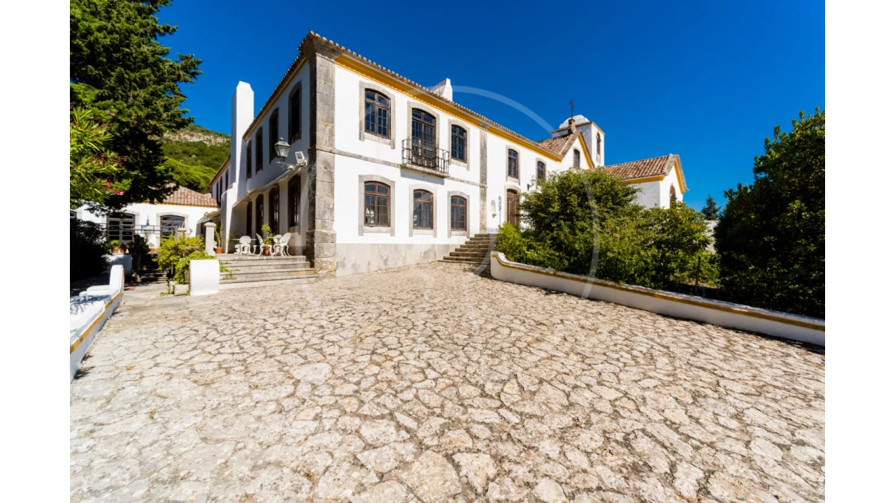 Quinta T7 para Venda em Azeitão (São Lourenço e São Simão) Foto 38