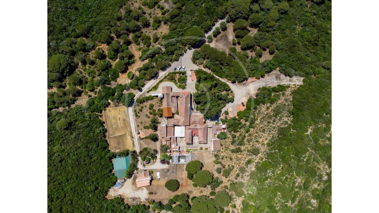 Quinta T7 para Venda em Azeitão (São Lourenço e São Simão) Foto 40