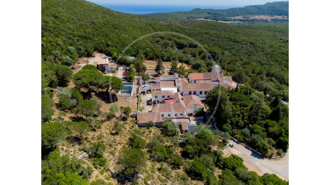 Quinta T7 para Venda em Azeitão (São Lourenço e São Simão) Foto 3