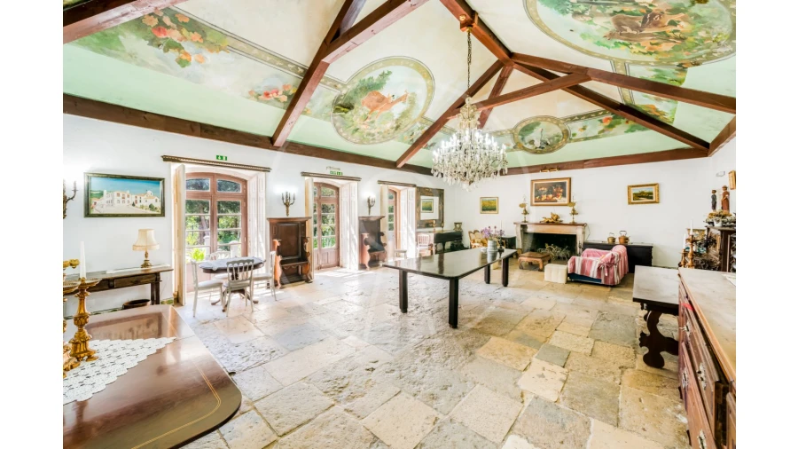 Quinta T7 para Venda em Azeitão (São Lourenço e São Simão) Foto 9