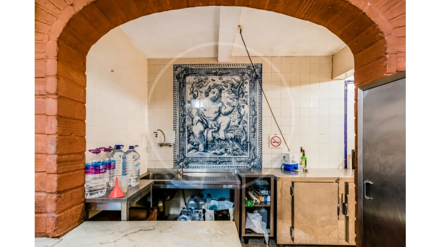 Quinta T7 para Venda em Azeitão (São Lourenço e São Simão) Foto 14