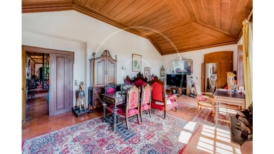 Quinta T7 para Venda em Azeitão (São Lourenço e São Simão) Foto 23