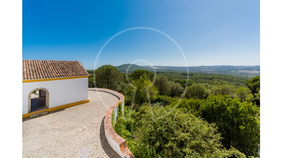 Quinta T7 para Venda em Azeitão (São Lourenço e São Simão) Foto 25