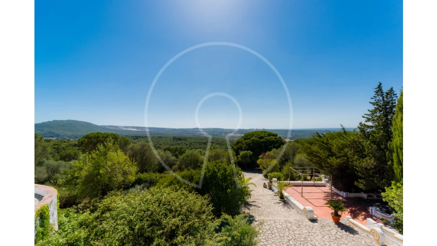 Quinta T7 para Venda em Azeitão (São Lourenço e São Simão) Foto 26
