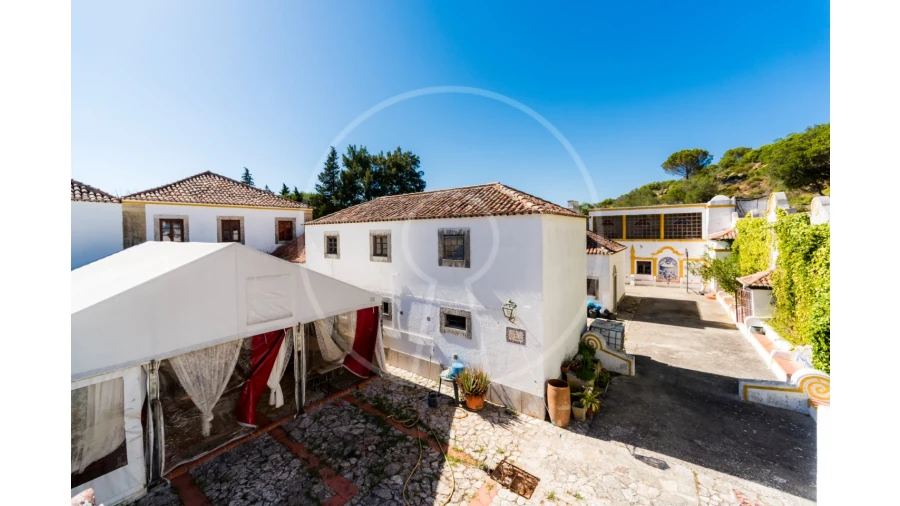 Quinta T7 para Venda em Azeitão (São Lourenço e São Simão) Foto 35