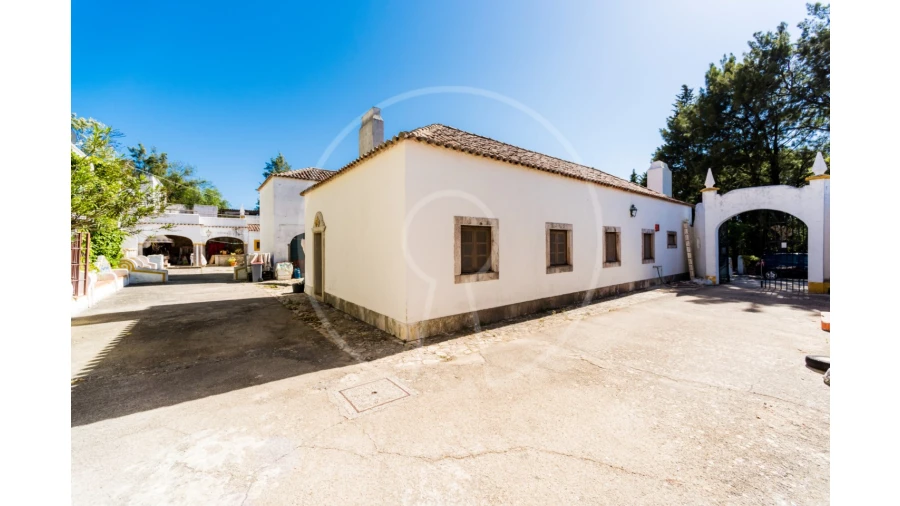 Quinta T7 para Venda em Azeitão (São Lourenço e São Simão) Foto 36