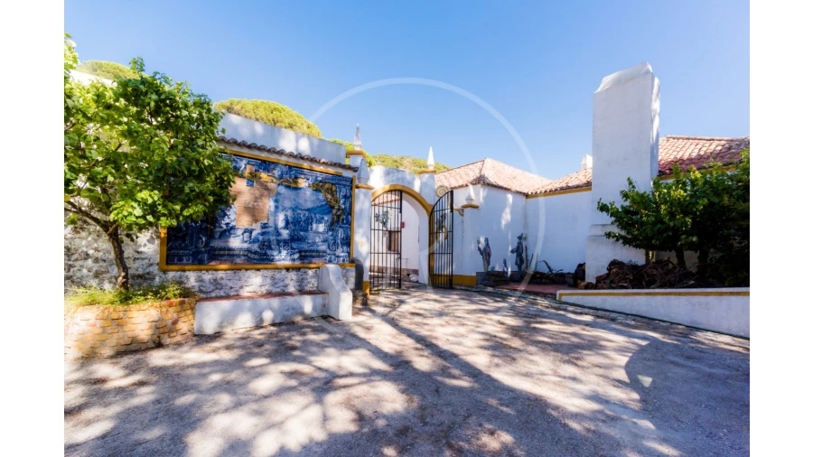 Quinta T7 para Venda em Azeitão (São Lourenço e São Simão) Foto 37