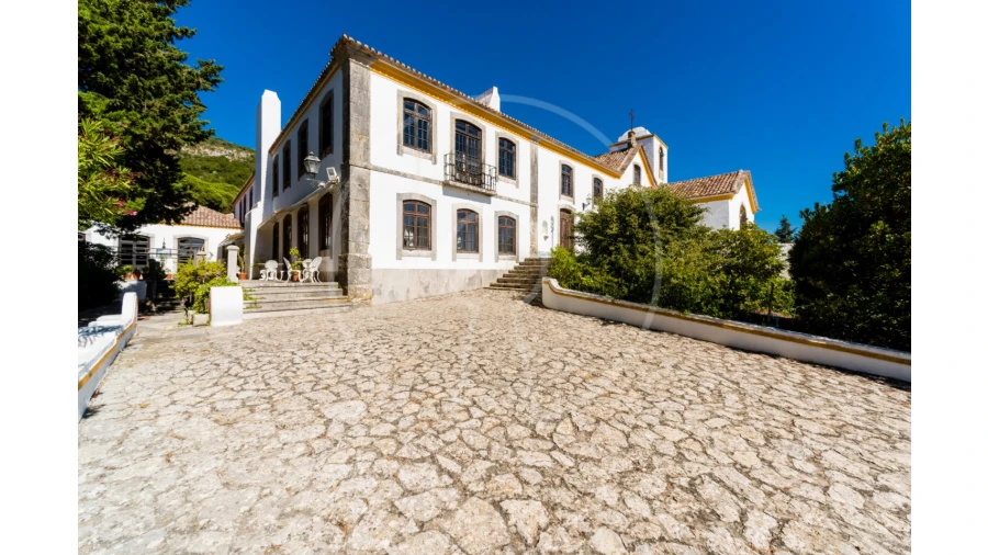 Quinta T7 para Venda em Azeitão (São Lourenço e São Simão) Foto 38
