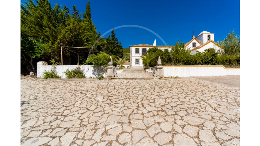 Quinta T7 para Venda em Azeitão (São Lourenço e São Simão) Foto 39