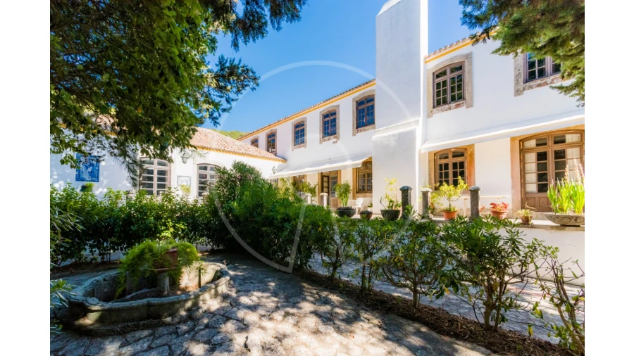 Quinta T7 para Venda em Azeitão (São Lourenço e São Simão) Foto 1