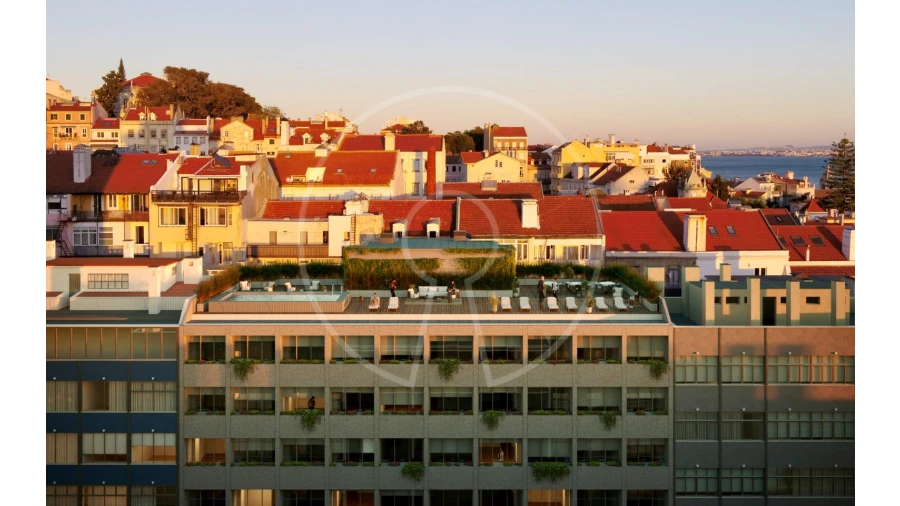 Apartamento T2 para Venda em Estrela Foto 12